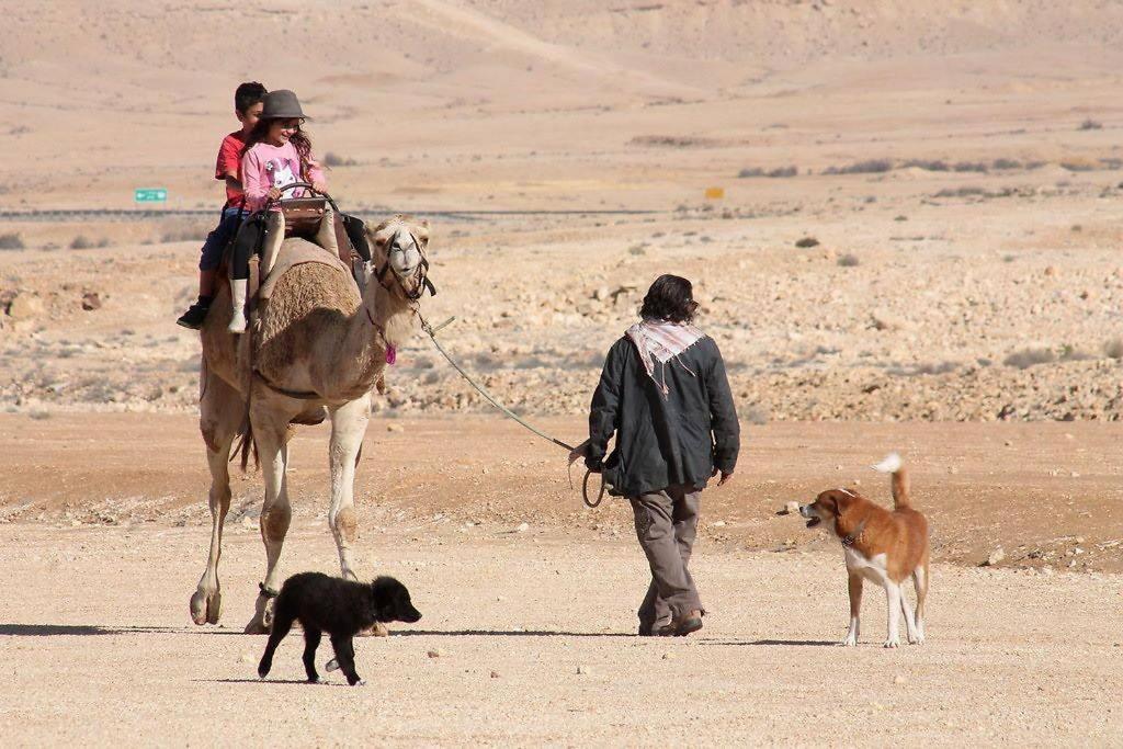 Spice Quarter Inn Mitzpe Ramon Dış mekan fotoğraf
